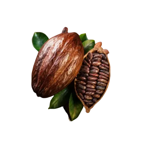 Premium Dark Cocoa