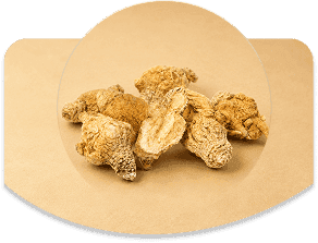 Maca root