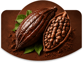 Cocoa Powder