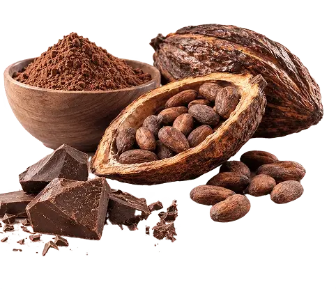 Cocoa powder, cocoa pods, beans, and dark chocolate